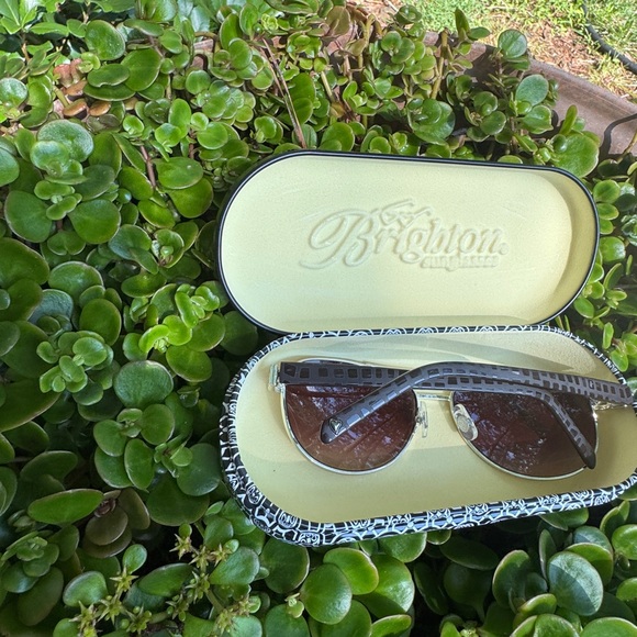 Brighton Black and Silver Sunglasses with Classic Style - Picture 6 of 6